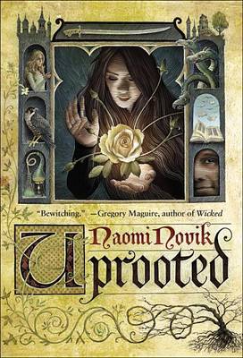 Book cover for Uprooted