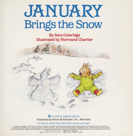 Book cover for January Brings the Snow