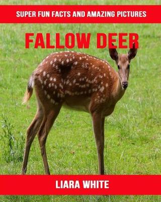 Book cover for Fallow Deer