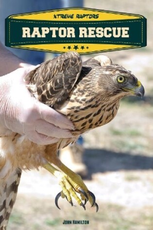 Cover of Raptor Rescue