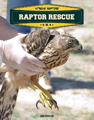 Book cover for Raptor Rescue