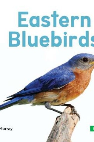 Cover of Eastern Bluebirds