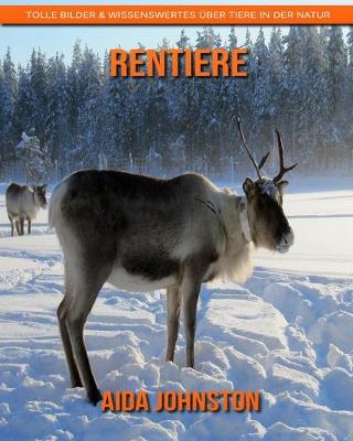 Book cover for Rentiere