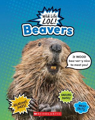 Book cover for Beavers (Wild Life Lol!)