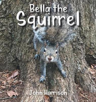 Book cover for Bella the Squirrel