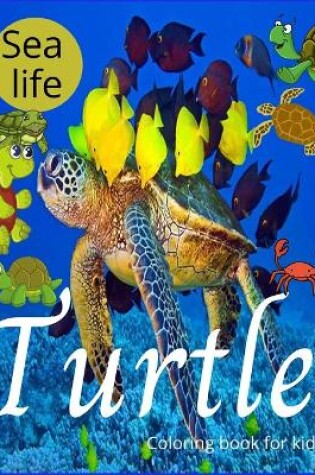 Cover of Sea life turtle coloring book for kids
