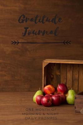 Book cover for Gratitude Journal