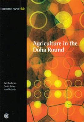 Cover of Agricultural Export Subsidies and Developing Countries' Interests