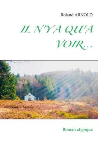 Cover of Il n'y a Qu'a Voir...