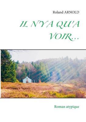 Cover of Il n'y a Qu'a Voir...