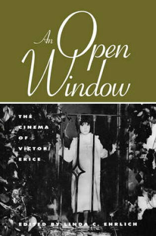 Cover of An Open Window