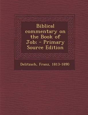 Book cover for Biblical Commentary on the Book of Job;