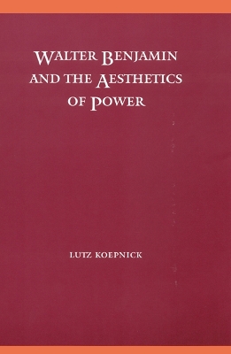 Book cover for Walter Benjamin and the Aesthetics of Power