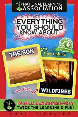 Book cover for Everything You Should Know About The Sun and Wildfires