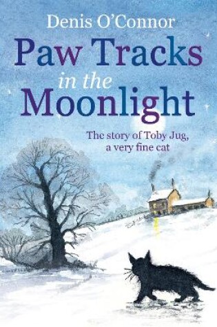 Paw Tracks in the Moonlight