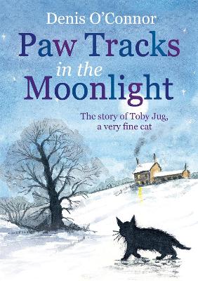 Book cover for Paw Tracks in the Moonlight