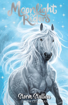 Book cover for Storm Stallion