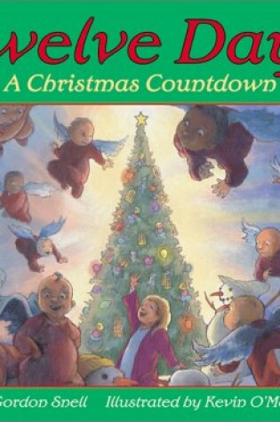 Cover of Twelve Days a Christmas Countdown