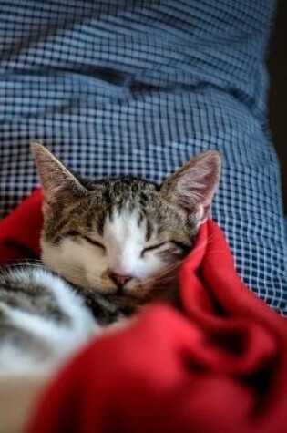 Cover of Black and White Kittens Sleeping in Red Blanket