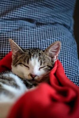 Book cover for Black and White Kittens Sleeping in Red Blanket