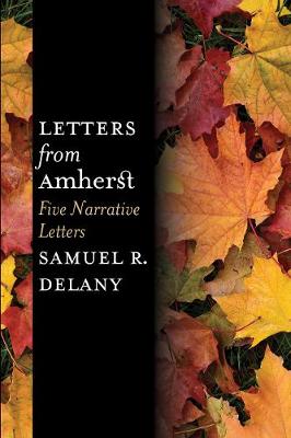 Book cover for Letters from Amherst