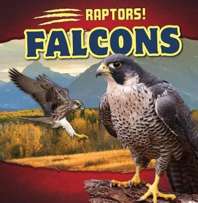 Cover of Falcons