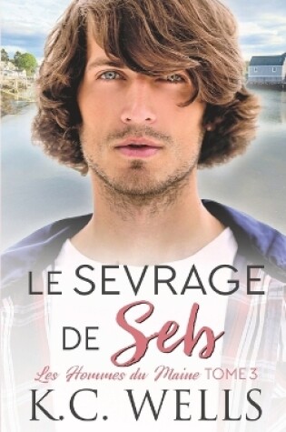 Cover of Le sevrage de Seb
