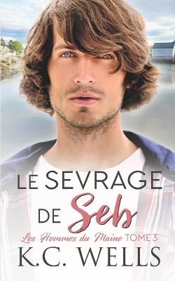 Book cover for Le sevrage de Seb