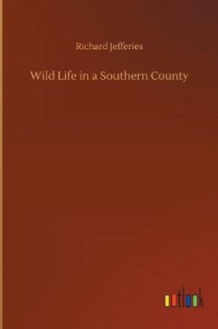 Cover of Wild Life in a Southern County