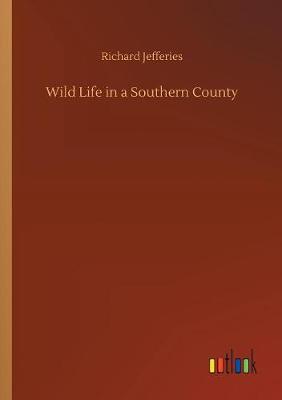 Book cover for Wild Life in a Southern County