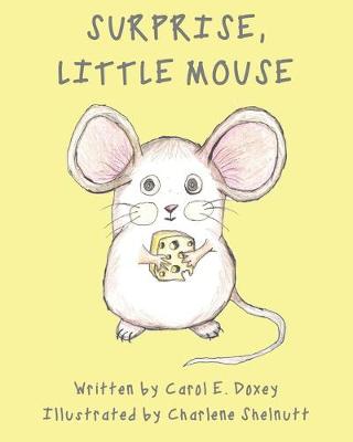 Book cover for Surprise, Little Mouse