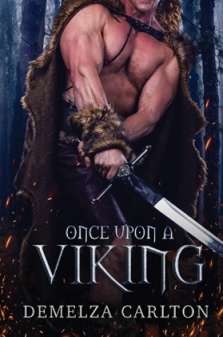 Cover of Once Upon a VIking