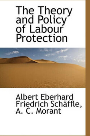 Cover of The Theory and Policy of Labour Protection