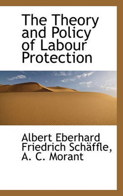 Book cover for The Theory and Policy of Labour Protection