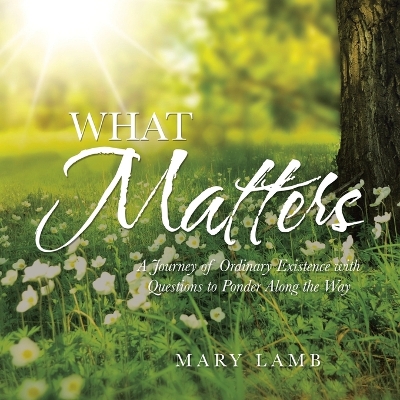 Book cover for What Matters