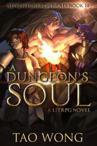 Cover of A Dungeon's Soul