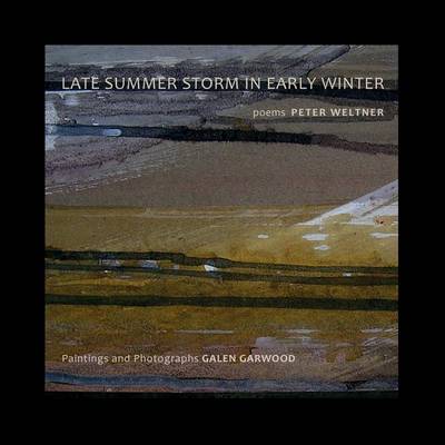 Book cover for Late Summer Storm In Early Winter