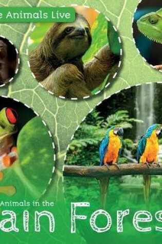 Cover of Animals in the Rain Forest