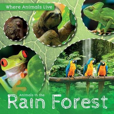 Cover of Animals in the Rain Forest