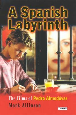 Book cover for A Spanish Labyrinth