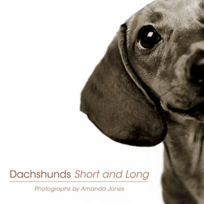 Book cover for Dachshunds Short And Long