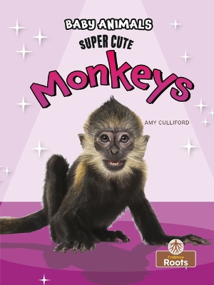 Book cover for Super Cute Monkeys