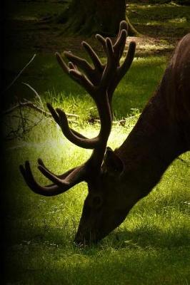 Book cover for Grazing Deer