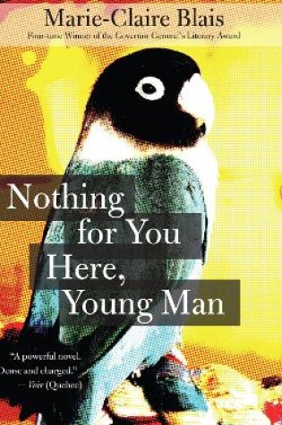 Cover of Nothing For You Here, Young Man