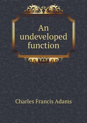 Book cover for An undeveloped function