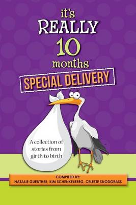 Book cover for It's Really 10 Months Special Delivery