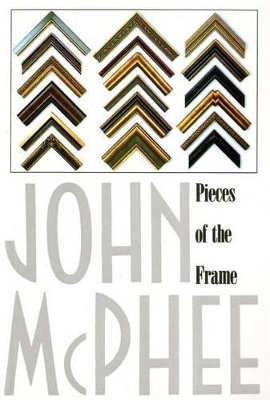 Book cover for Pieces of the Frame