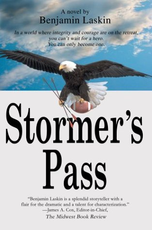 Book cover for Stormer's Pass