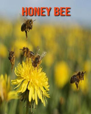 Book cover for Honey Bee