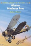 Book cover for Gloster Gladiator Aces